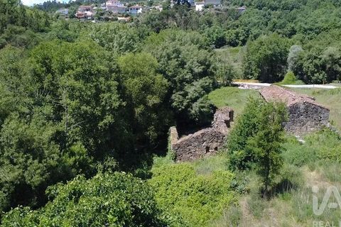Farm i Penalva do Castelo, Viseu, Penalva do Castelo - € 170.000 | Ref: 915779 - foto 10