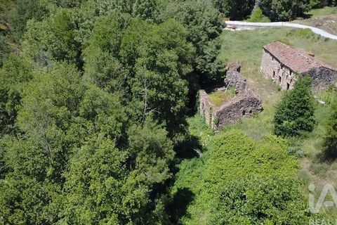 Farm i Penalva do Castelo, Viseu, Penalva do Castelo - € 170.000 | Ref: 915779 - foto 11