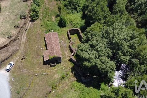 Farm i Penalva do Castelo, Viseu, Penalva do Castelo - € 170.000 | Ref: 915779 - foto 12