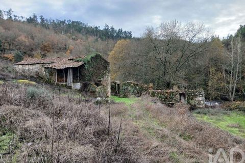 Farm i Penalva do Castelo, Viseu, Penalva do Castelo - € 170.000 | Ref: 915779 - foto 13