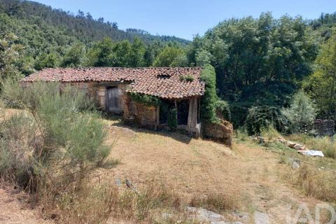 Farm i Penalva do Castelo, Viseu, Penalva do Castelo - € 170.000 | Ref: 915779 - foto 14