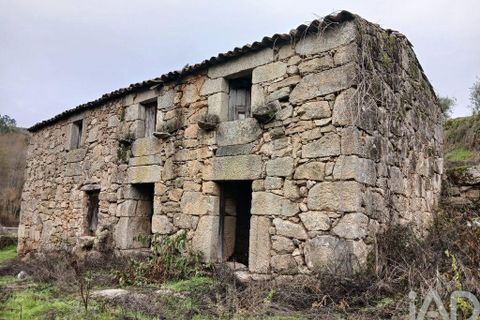 Farm i Penalva do Castelo, Viseu, Penalva do Castelo - € 170.000 | Ref: 915779 - foto 15