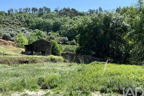Farm i Penalva do Castelo, Viseu, Penalva do Castelo - € 170.000 | Ref: 915779 - foto 16