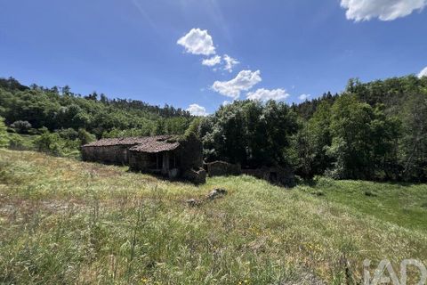 Farm i Penalva do Castelo, Viseu, Penalva do Castelo - € 170.000 | Ref: 915779 - foto 19