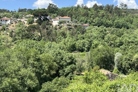 Farm i Penalva do Castelo, Viseu, Penalva do Castelo - € 170.000 | Ref: 915779 - foto 24
