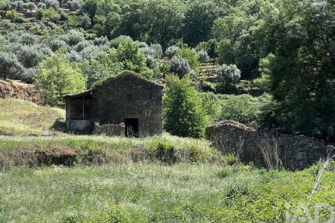 Farm i Penalva do Castelo, Viseu, Penalva do Castelo - € 170.000 | Ref: 915779 - foto 25