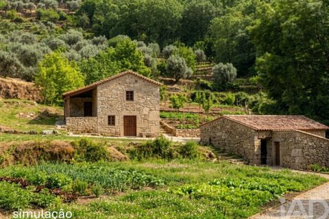 Farm i Penalva do Castelo, Viseu, Penalva do Castelo - € 170.000 | Ref: 915779 - foto 27