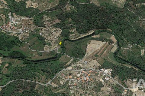 Farm i Penalva do Castelo, Viseu, Penalva do Castelo - € 170.000 | Ref: 915779 - foto 30