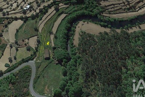 Farm i Penalva do Castelo, Viseu, Penalva do Castelo - € 170.000 | Ref: 915779 - foto 31