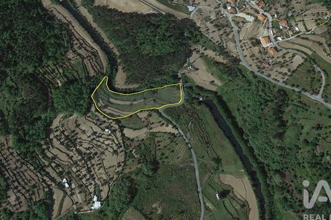 Farm i Penalva do Castelo, Viseu, Penalva do Castelo - € 170.000 | Ref: 915779 - foto 32