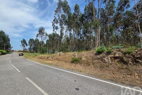 Terra a Santa Comba Dao, Viseu, Santa Comba Dao - € 19.900 | Ref: 916134 - foto 4