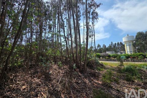 Terra a Santa Comba Dao, Viseu, Santa Comba Dao - € 19.900 | Ref: 916134 - foto 6