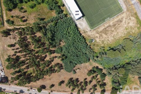 Tomt i Carregal do Sal, Viseu, Carregal do Sal - € 295 000 | Ref: 919204 - foto 4