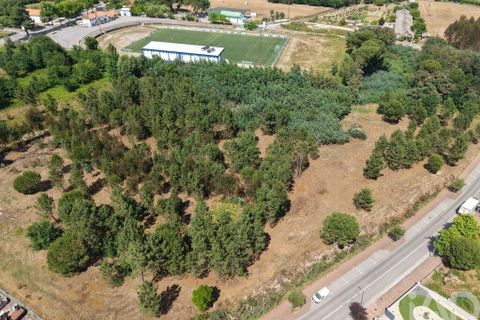 Tomt i Carregal do Sal, Viseu, Carregal do Sal - € 295 000 | Ref: 919204 - foto 5