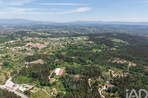 Tomt i Carregal do Sal, Viseu, Carregal do Sal - € 295 000 | Ref: 919204 - foto 6