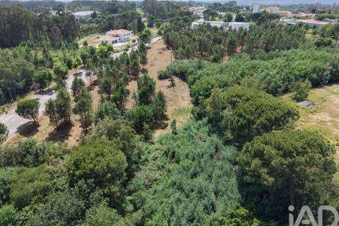 Tomt i Carregal do Sal, Viseu, Carregal do Sal - € 295 000 | Ref: 919204 - foto 7