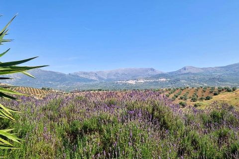 Villa i Vinuela, Malaga, Vinuela - € 590.000 | Ref: XL4709 - foto 23