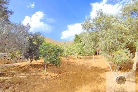 Villa i Capdepera, Mallorca, Capdepera - € 849.000 | Ref: ISS389C - foto 39