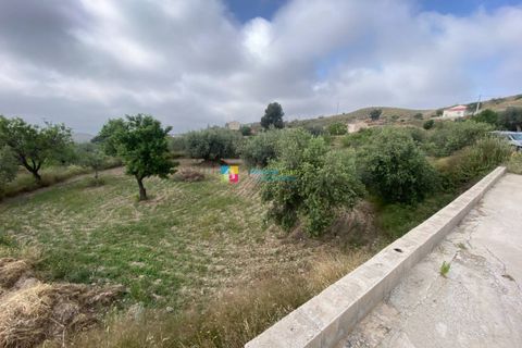 Landejendom i Albox, Almeria, Albox - € 95.000 | Ref: 2943 - foto 22