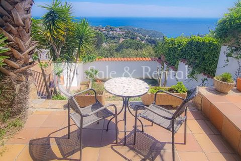 Villa a Lloret De Mar, Gerona, Lloret De Mar - € 790.000 | Ref: 2566 - foto 21