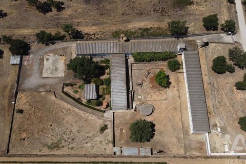 Terra a Palmela, Setubal, Palmela - € 320.000 | Ref: 911598 - foto 2