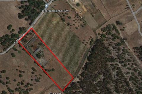 Terra a Palmela, Setubal, Palmela - € 320.000 | Ref: 911598 - foto 3