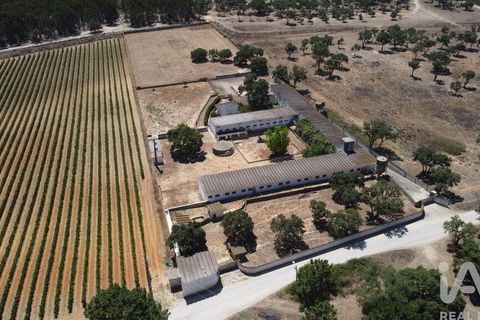 Terra a Palmela, Setubal, Palmela - € 320.000 | Ref: 911598 - foto 4