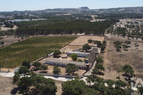 Terra a Palmela, Setubal, Palmela - € 320.000 | Ref: 911598 - foto 5