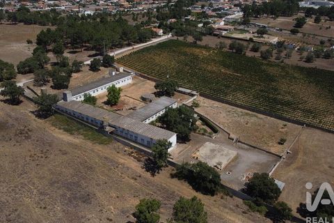 Terra a Palmela, Setubal, Palmela - € 320.000 | Ref: 911598 - foto 7