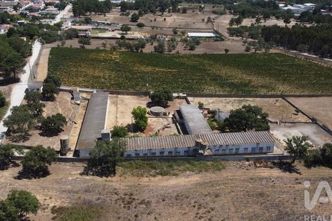 Terra a Palmela, Setubal, Palmela - € 320.000 | Ref: 911598 - foto 8