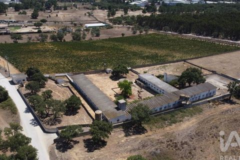 Terra a Palmela, Setubal, Palmela - € 320.000 | Ref: 911598 - foto 9