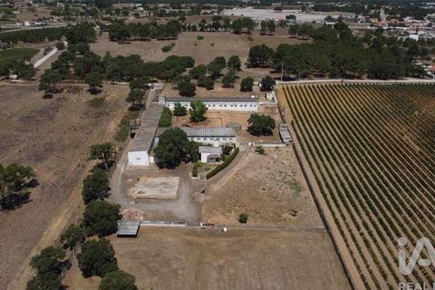 Terra a Palmela, Setubal, Palmela - € 320.000 | Ref: 911598 - foto 11