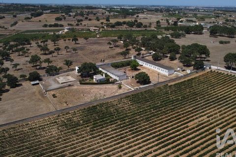 Terra a Palmela, Setubal, Palmela - € 320.000 | Ref: 911598 - foto 12