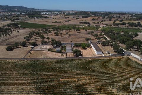 Terra a Palmela, Setubal, Palmela - € 320.000 | Ref: 911598 - foto 13