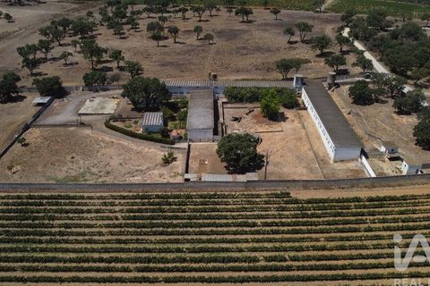 Terra a Palmela, Setubal, Palmela - € 320.000 | Ref: 911598 - foto 14