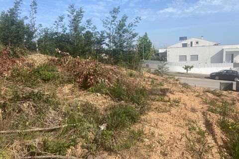 Terra a Anadia, Aveiro, Anadia - € 60.000 | Ref: 74/2026 - foto 4
