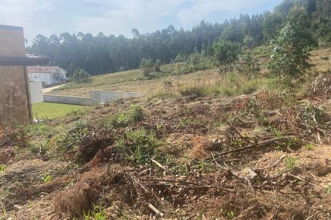 Terra a Anadia, Aveiro, Anadia - € 60.000 | Ref: 74/2026 - foto 5