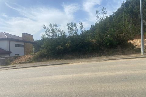 Terra a Anadia, Aveiro, Anadia - € 60.000 | Ref: 74/2026 - foto 8