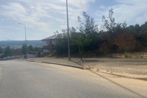 Terra a Anadia, Aveiro, Anadia - € 60.000 | Ref: 74/2026 - foto 11