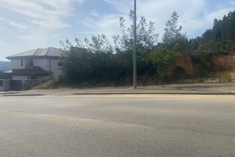 Terra a Anadia, Aveiro, Anadia - € 60.000 | Ref: 74/2026 - foto 12