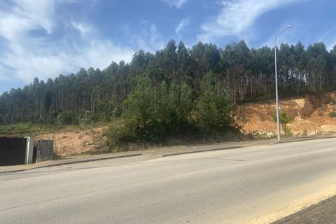 Terra a Anadia, Aveiro, Anadia - € 60.000 | Ref: 74/2026 - foto 13