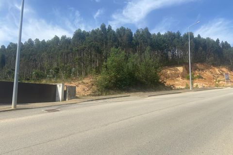Terra a Anadia, Aveiro, Anadia - € 60.000 | Ref: 74/2026 - foto 14