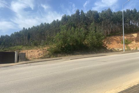 Terra a Anadia, Aveiro, Anadia - € 60.000 | Ref: 74/2026 - foto 15
