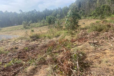Terra a Anadia, Aveiro, Anadia - € 60.000 | Ref: 74/2026 - foto 17