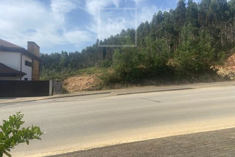 Terra a Anadia, Aveiro, Anadia - € 60.000 | Ref: 74/2026 - foto 19
