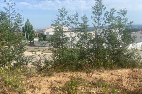 Terra a Anadia, Aveiro, Anadia - € 60.000 | Ref: 74/2026 - foto 21