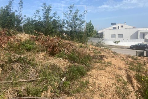 Terra a Anadia, Aveiro, Anadia - € 60.000 | Ref: 74/2026 - foto 22