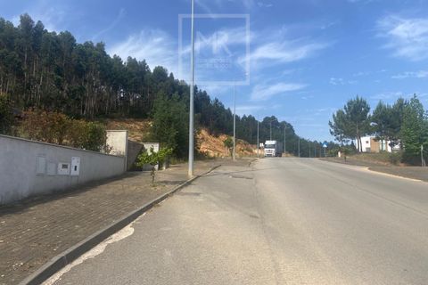 Terra a Anadia, Aveiro, Anadia - € 60.000 | Ref: 74/2026 - foto 24