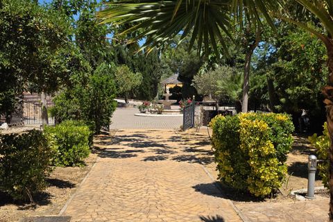 Landejendom i Sax, Alicante, Sax - € 550.000 | Ref: 20232/12462 - foto 6