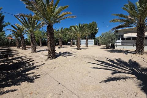 Landejendom i Sax, Alicante, Sax - € 550.000 | Ref: 20232/12462 - foto 49